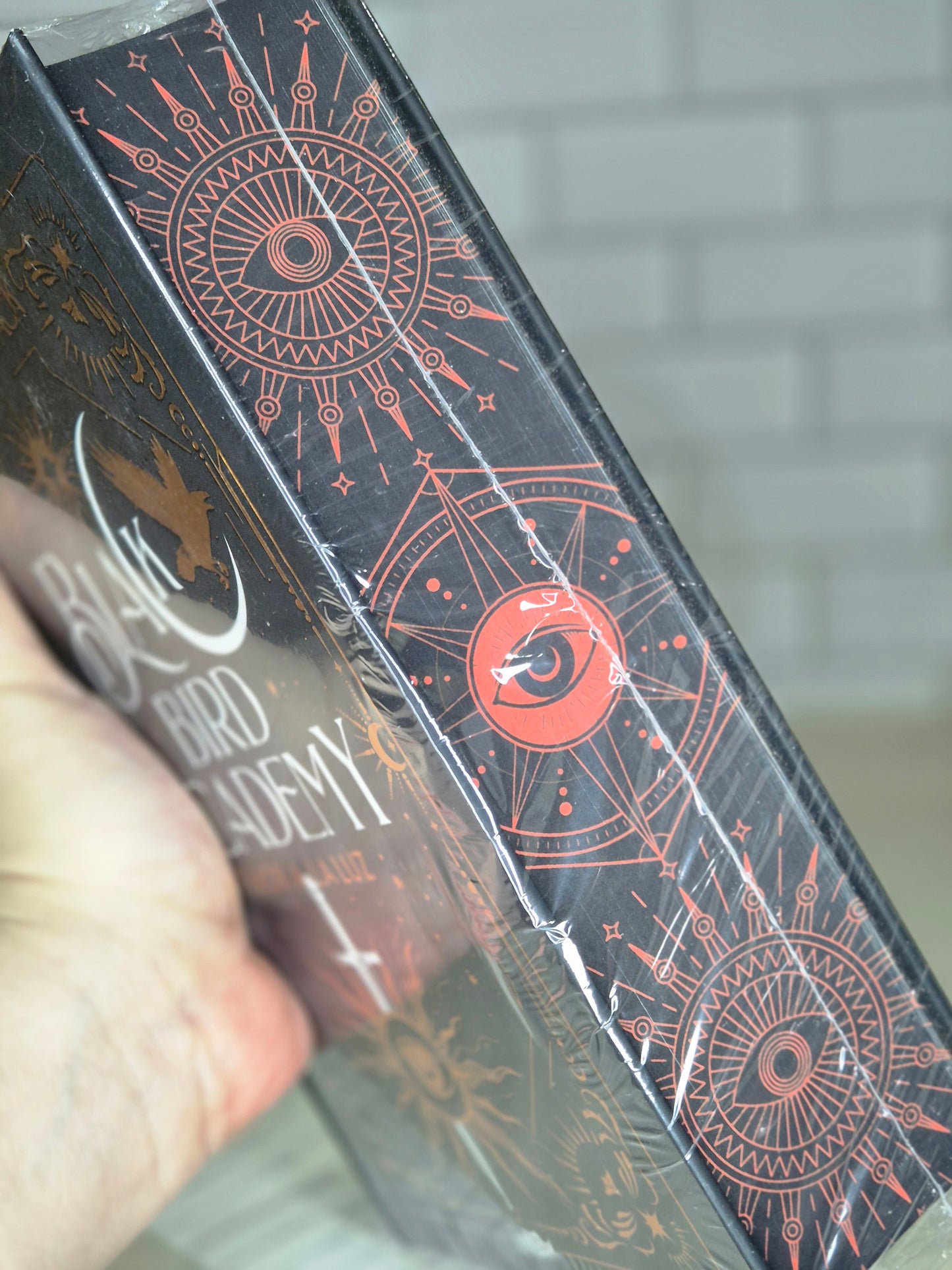 Black bird academy #2: temor a la luz
