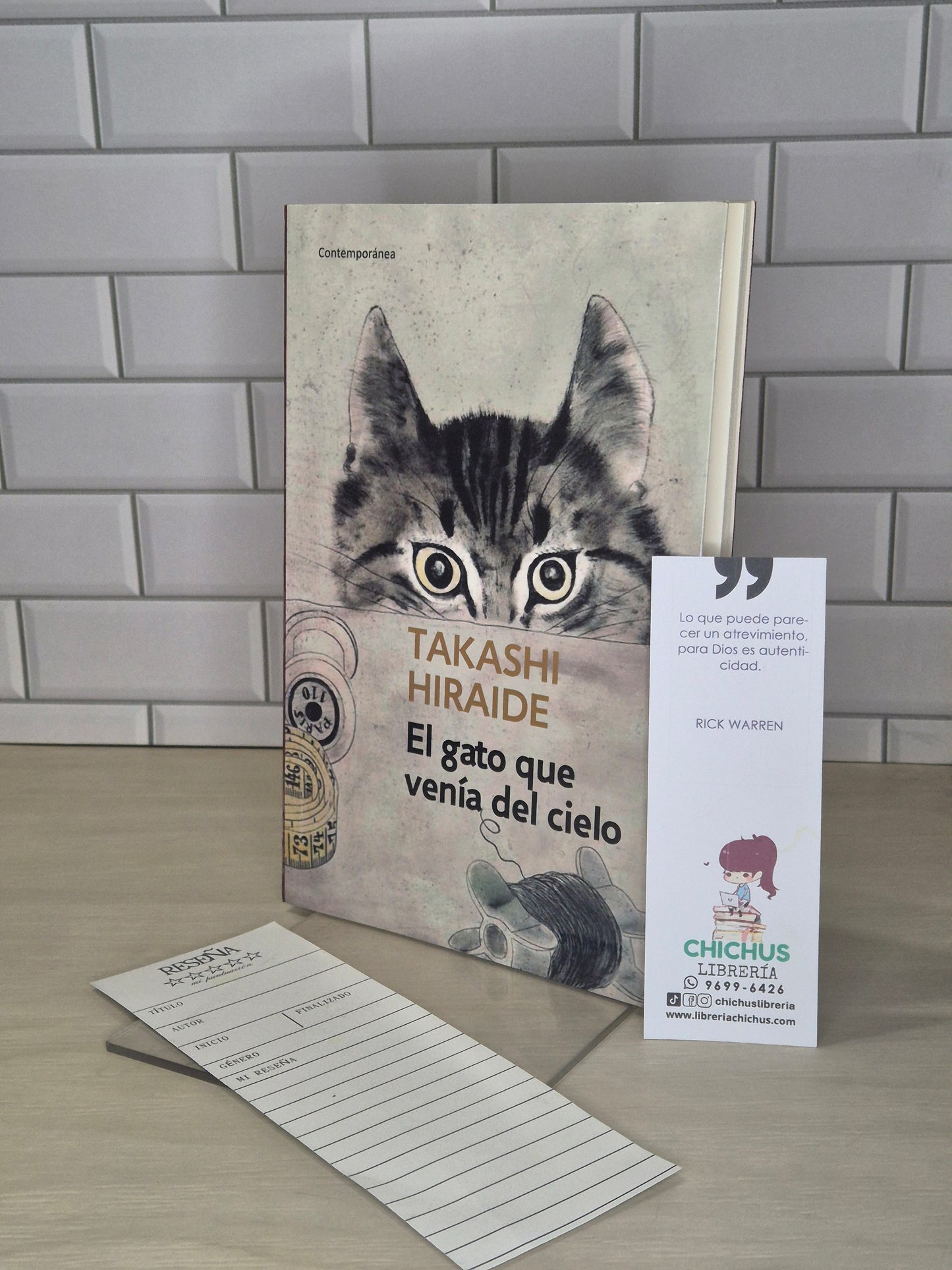 El gato que venía del cielo