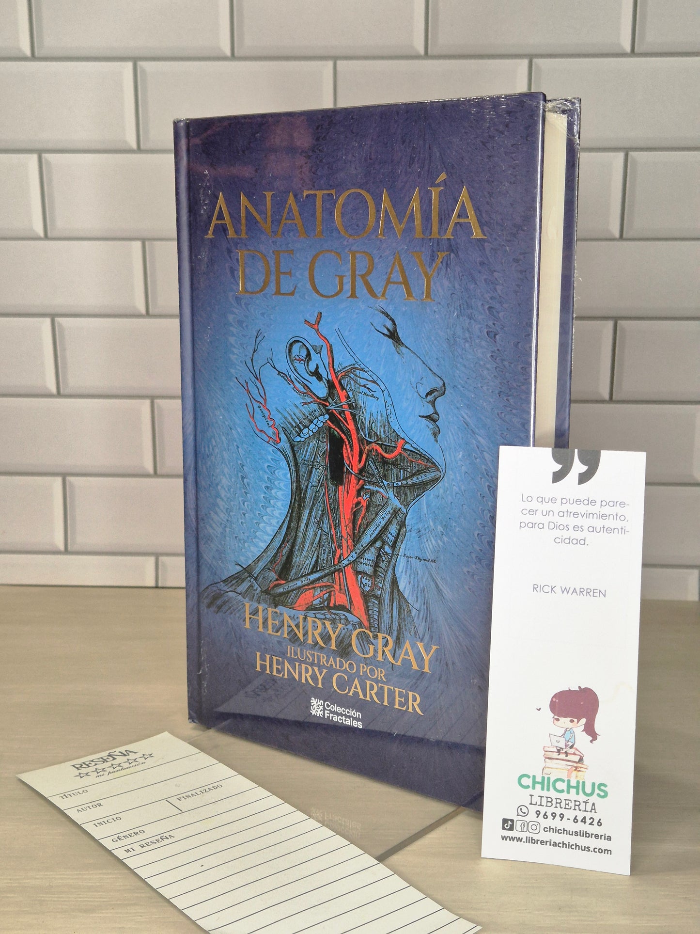 Anatomía de Gray