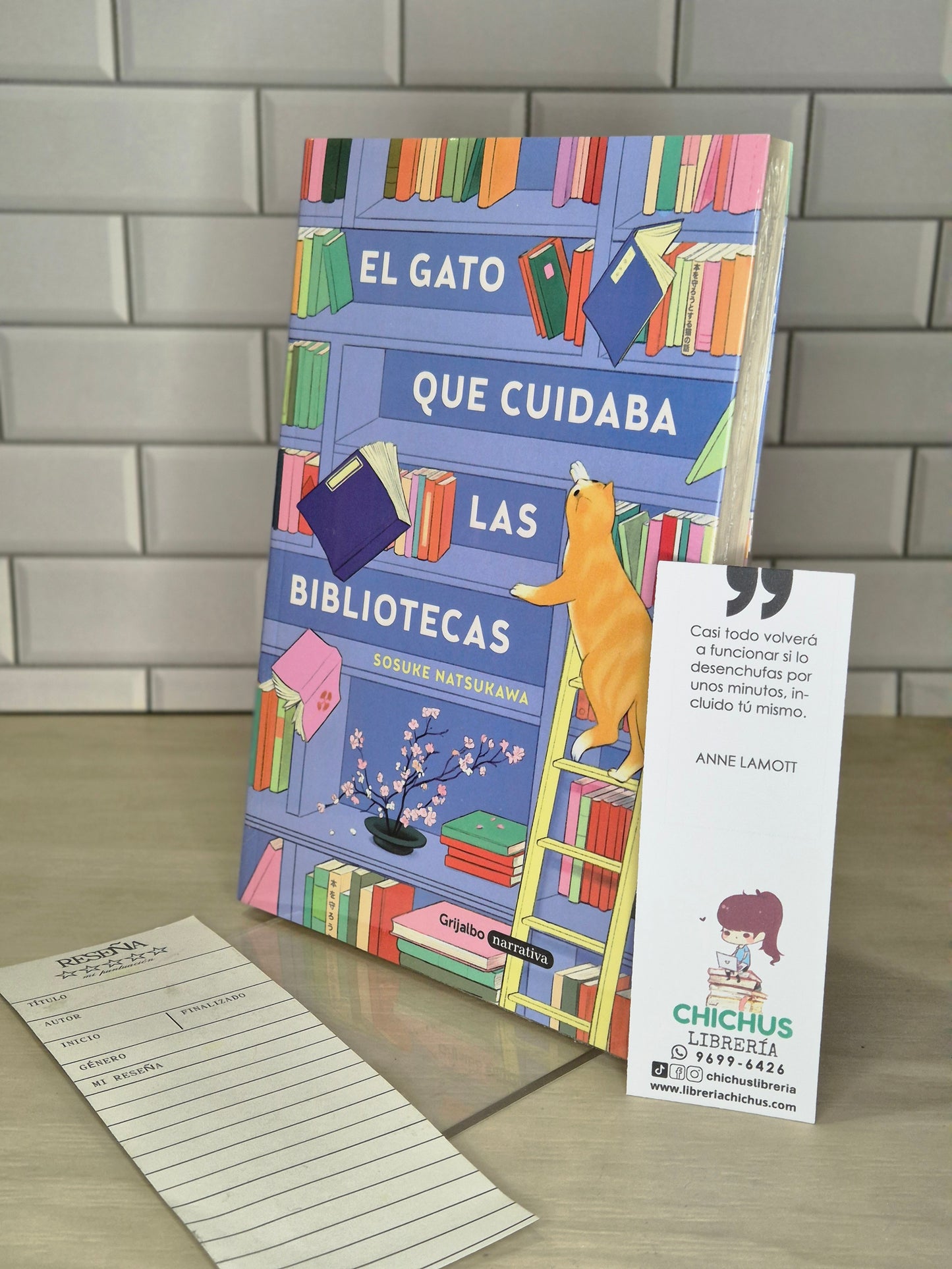 El gato que cuidaba las bibliotecas