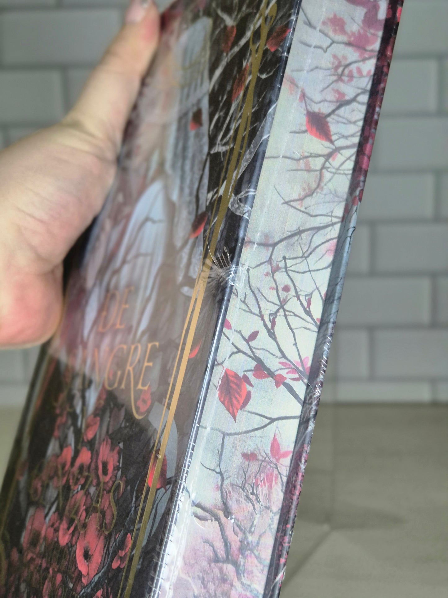 De sangre y cenizas edición especial en tapa dura y cantos pintados