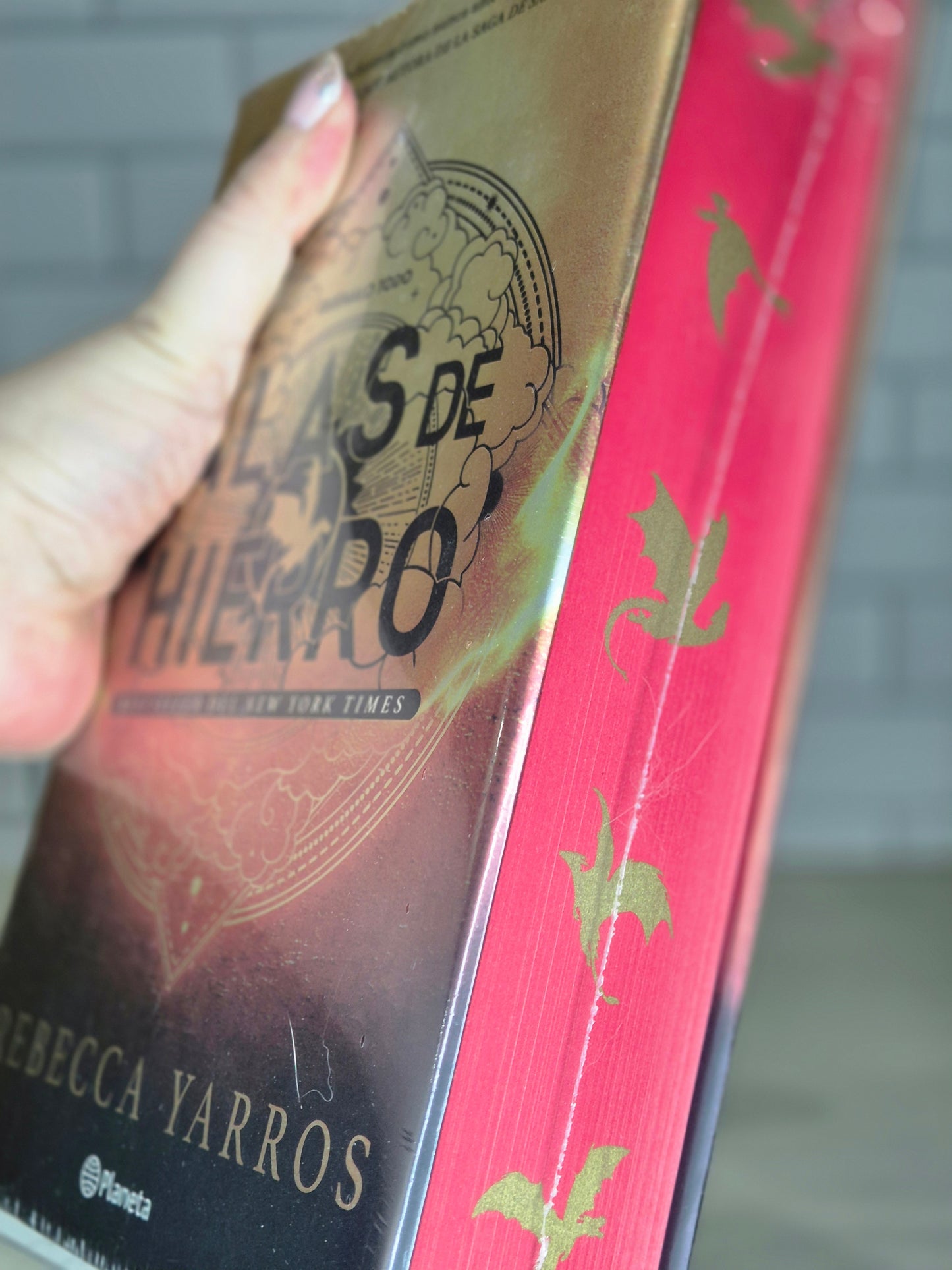 Alas de hierro edición en tapa dura con cantos pintados