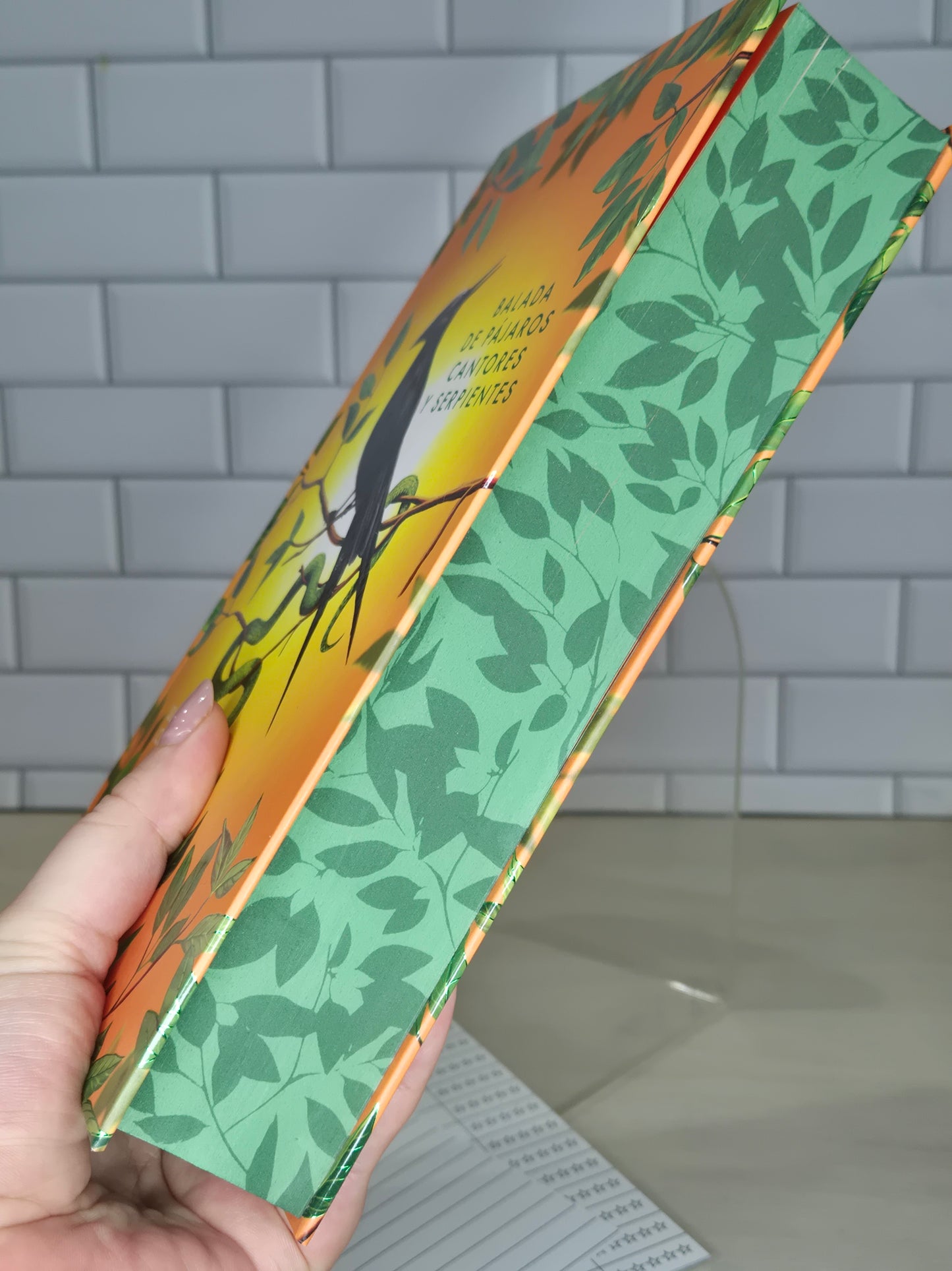 Balada de pájaros cantores y serpientes