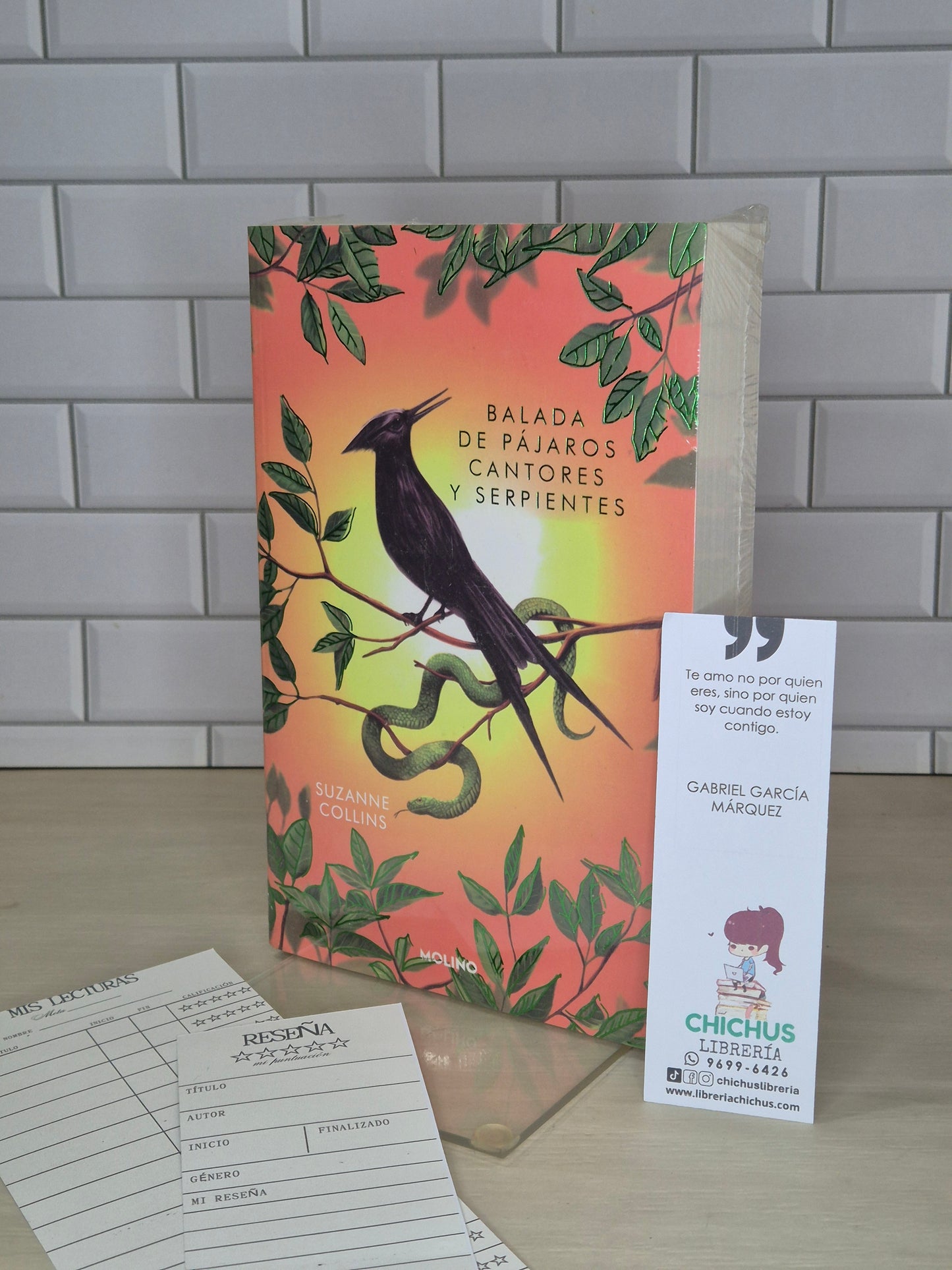 Balada de pájaros cantores y serpientes