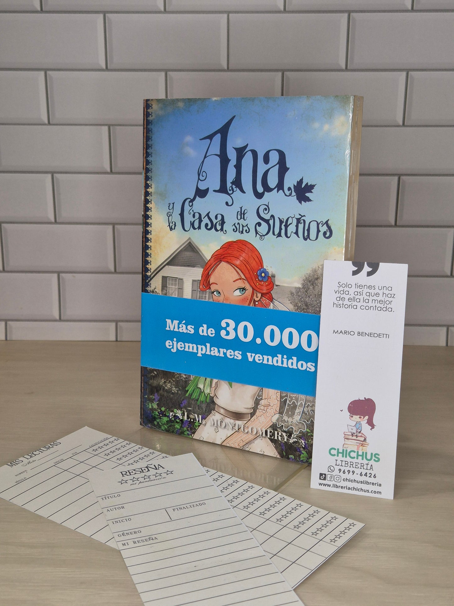 Ana y la casa de los sueños