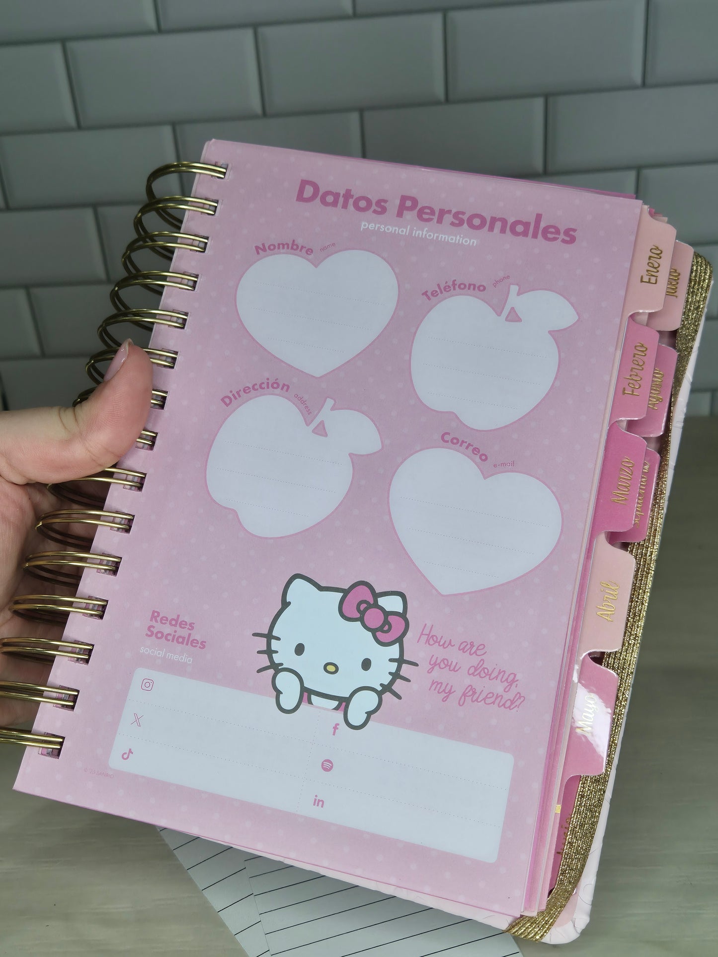 Agenda Hello Kitty 2026