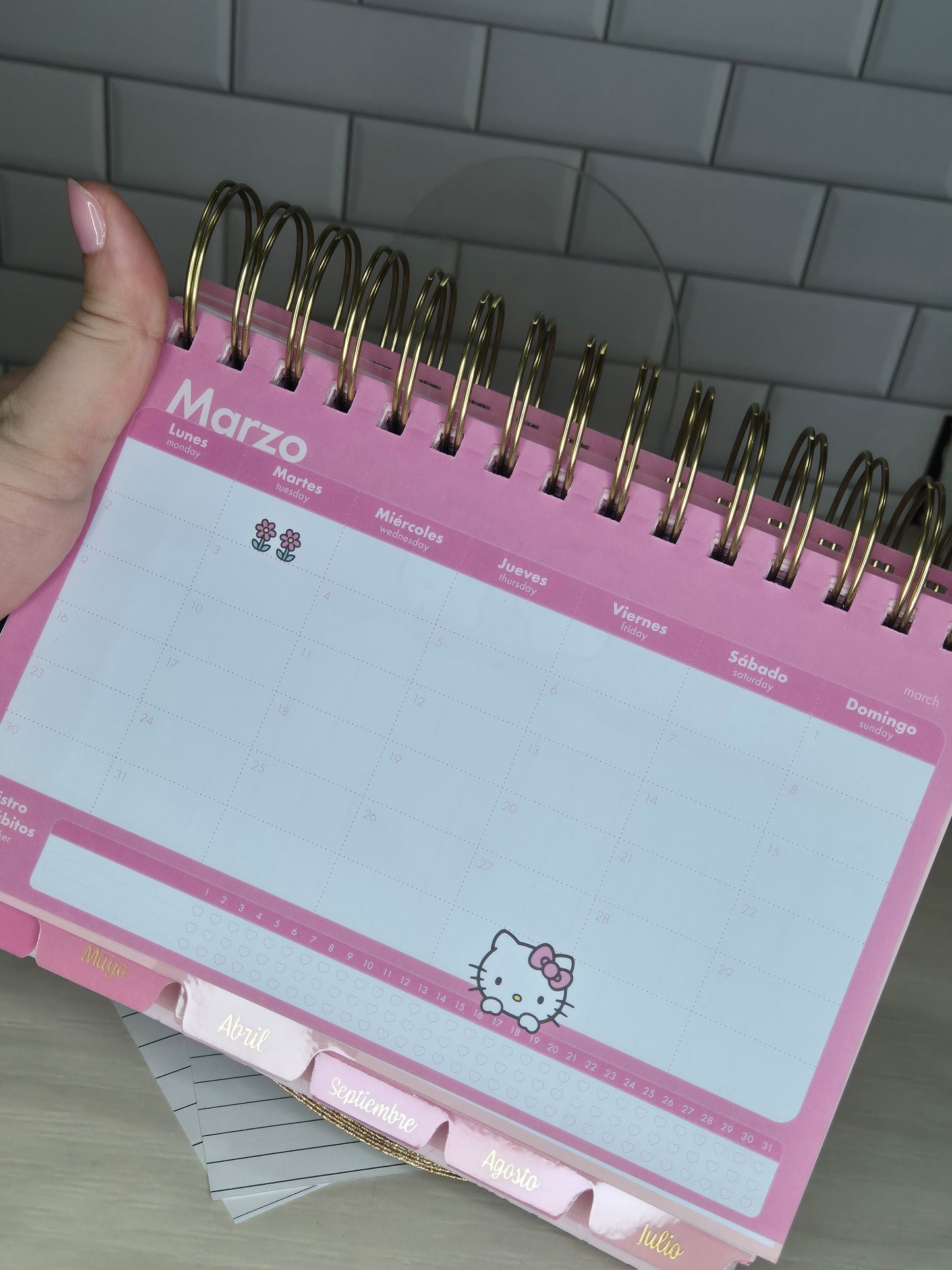 Agenda Hello Kitty 2026