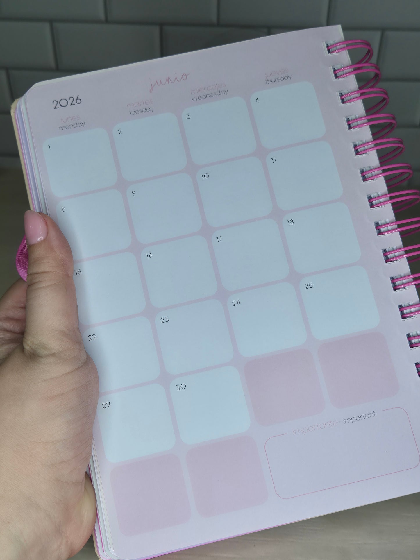 Agenda let's Bloom 2026