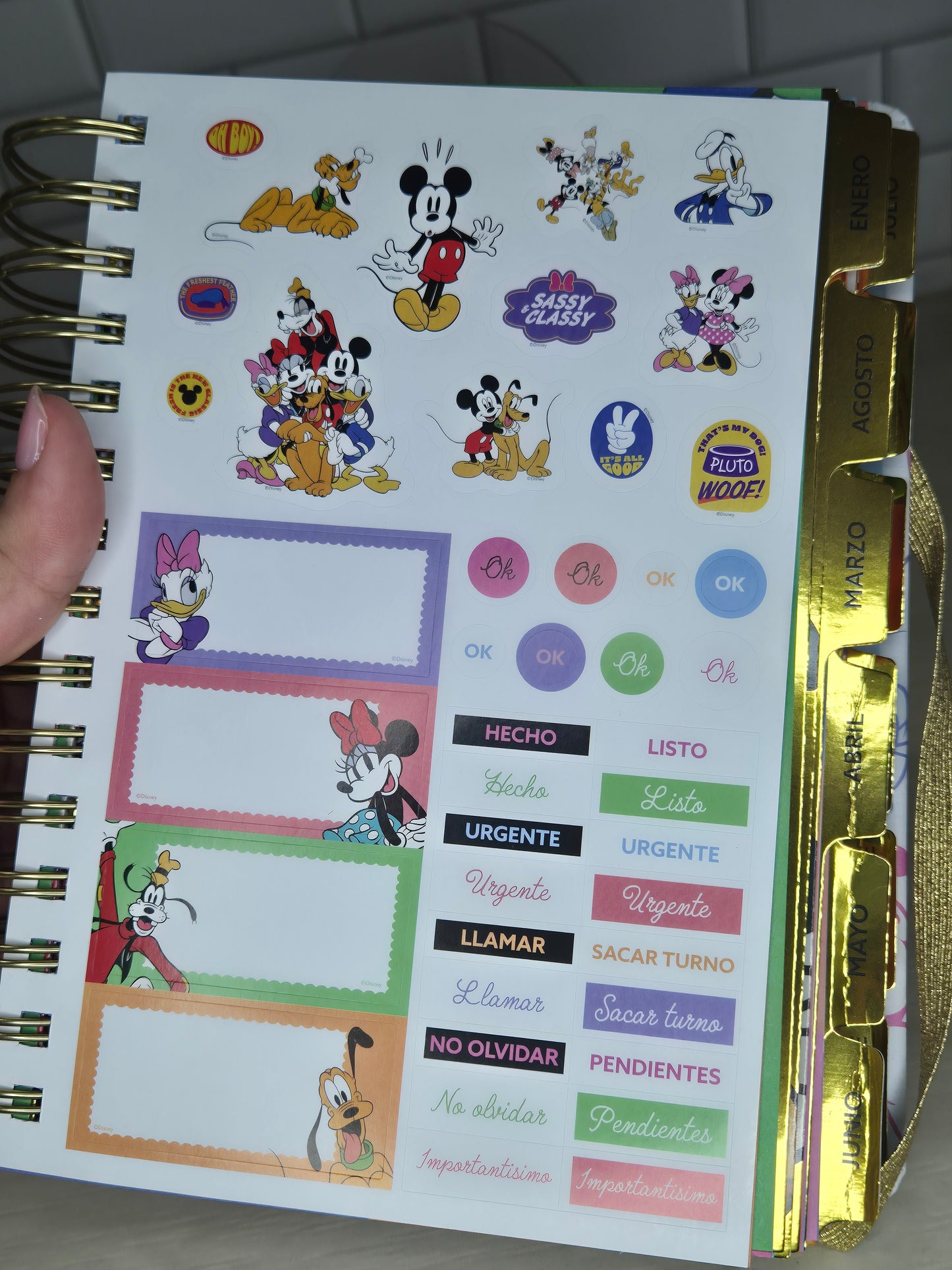 Agenda a little Magic can take you a long way de Disney 2026