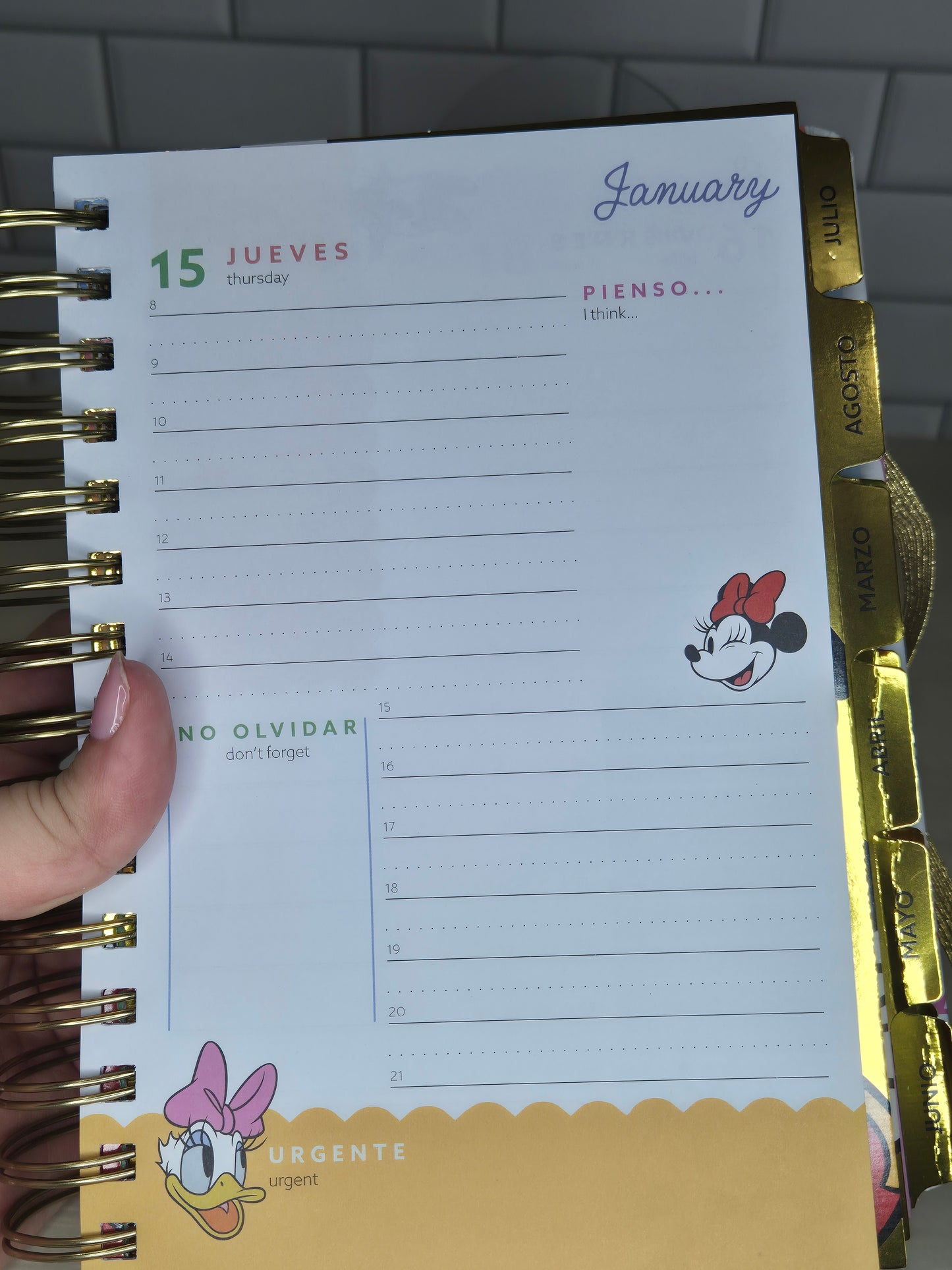 Agenda a little Magic can take you a long way de Disney 2026