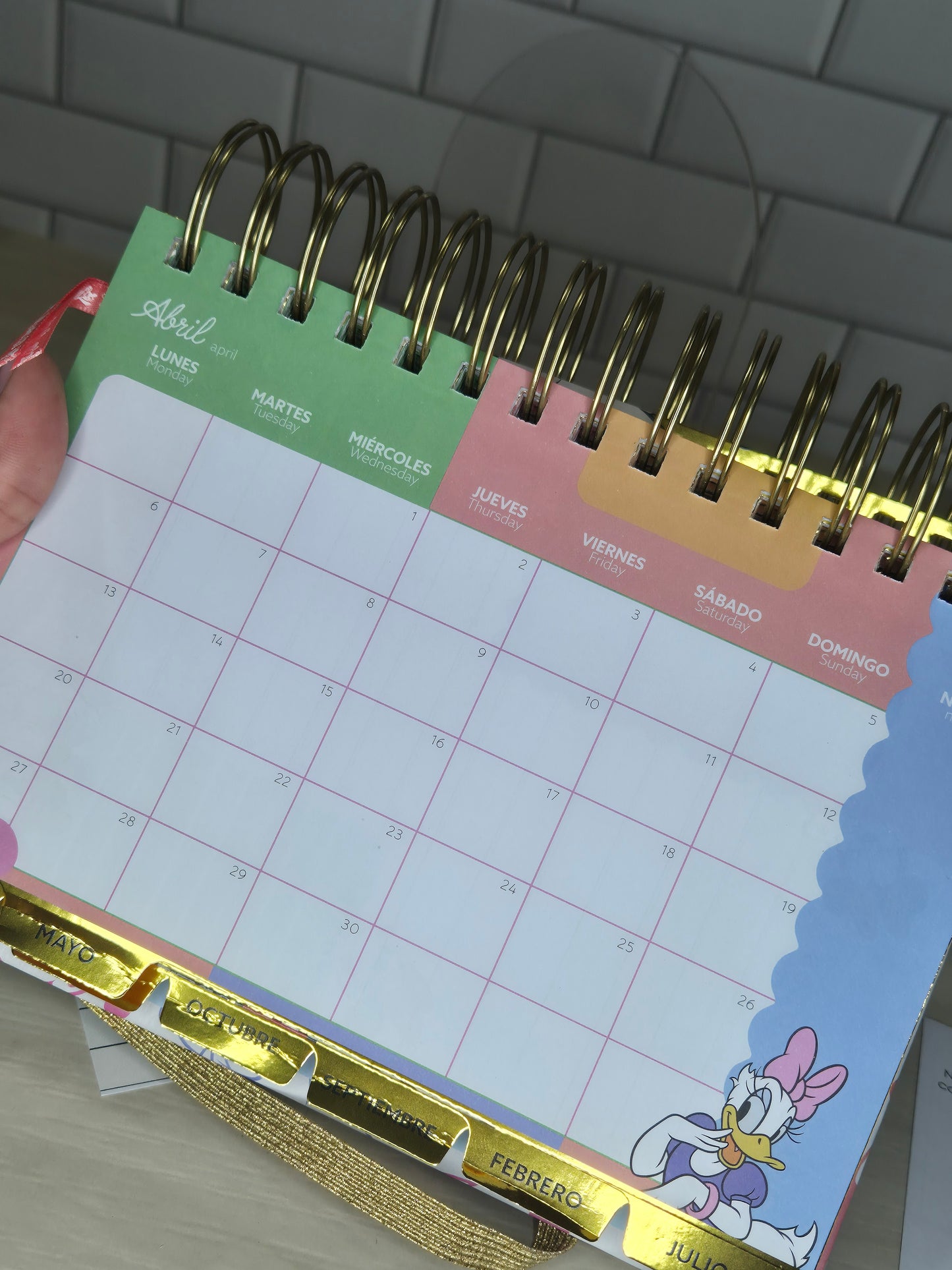 Agenda a little Magic can take you a long way de Disney 2026