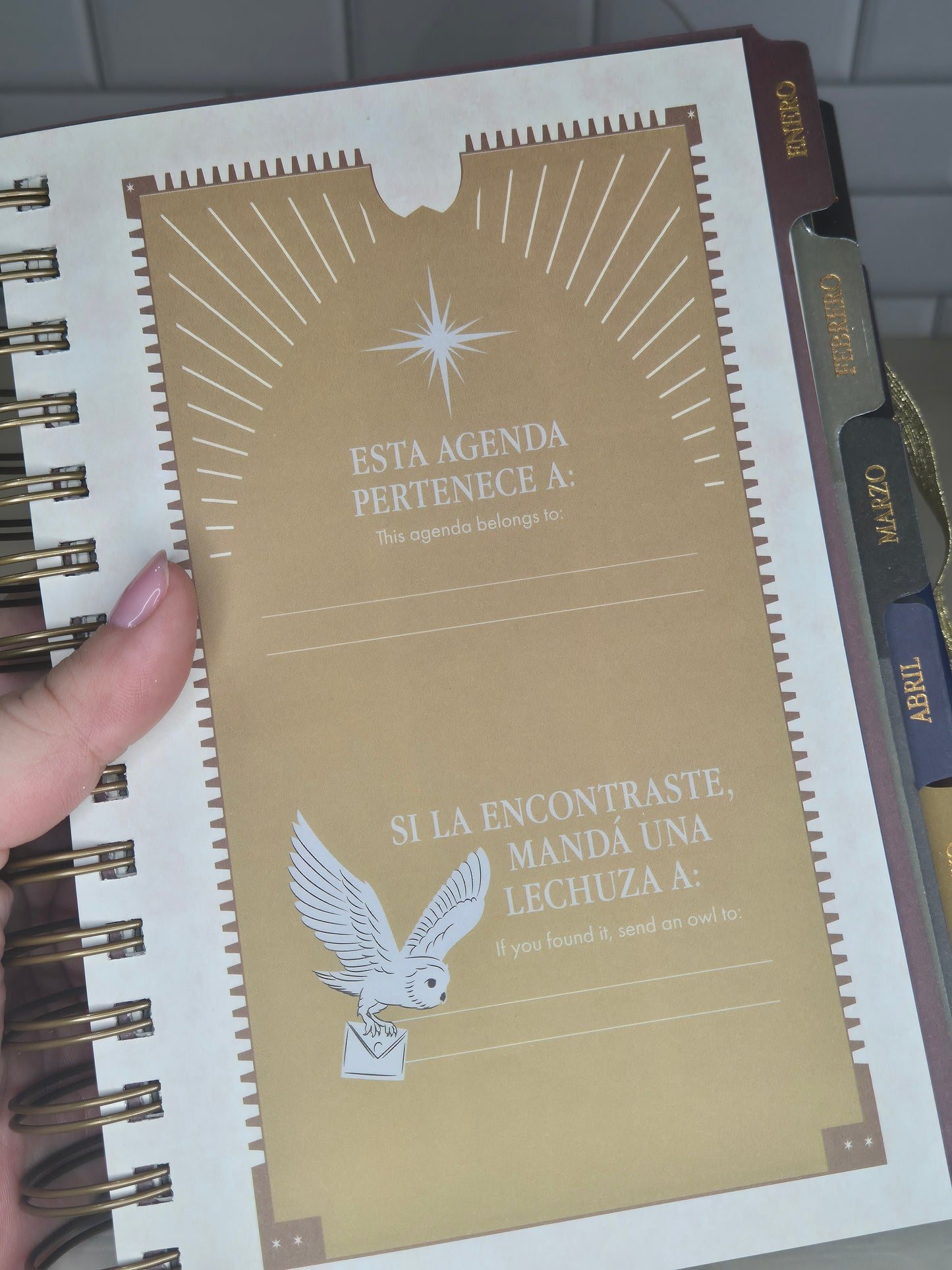 Agenda de Harry Potter 2026