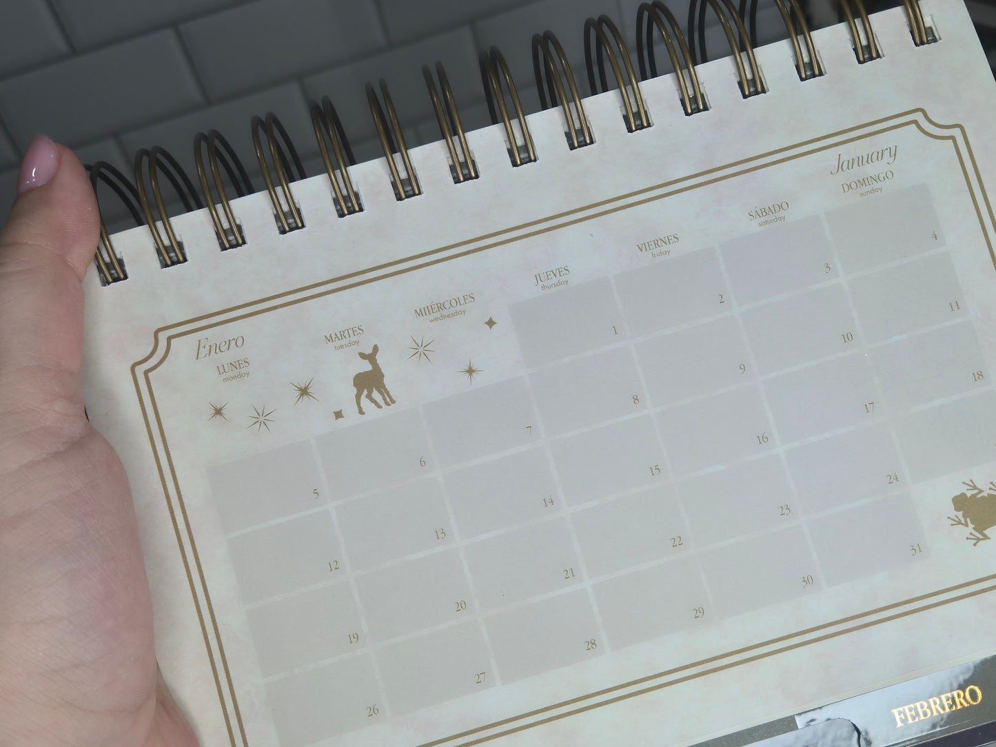 Agenda de Harry Potter 2026