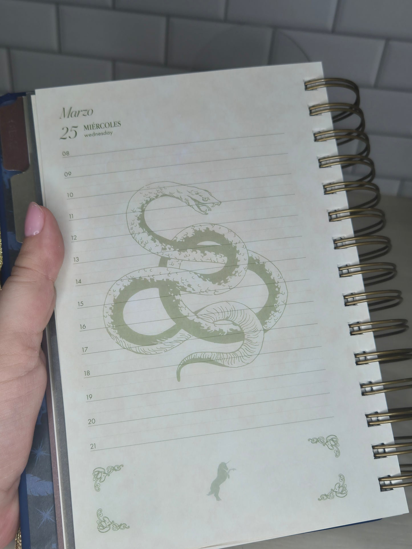 Agenda de Harry Potter 2026