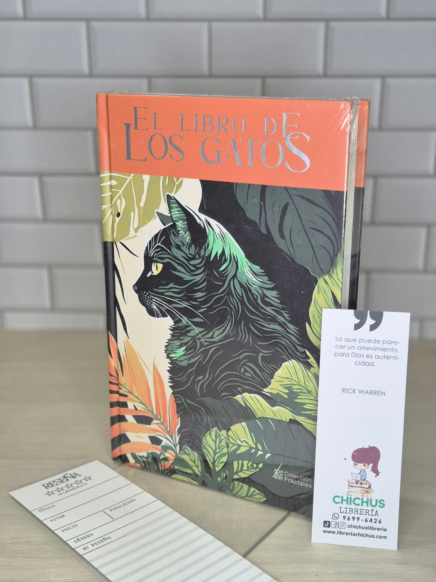 El libro de los gatos