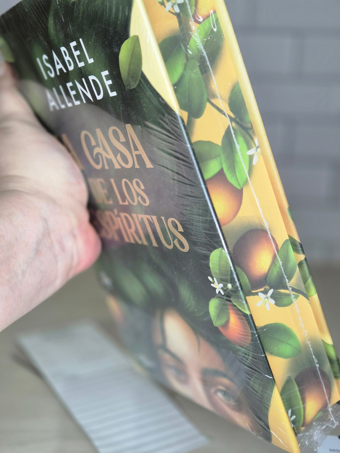 La casa de los Espíritus edición especial en tapa dura con los cantos pintados