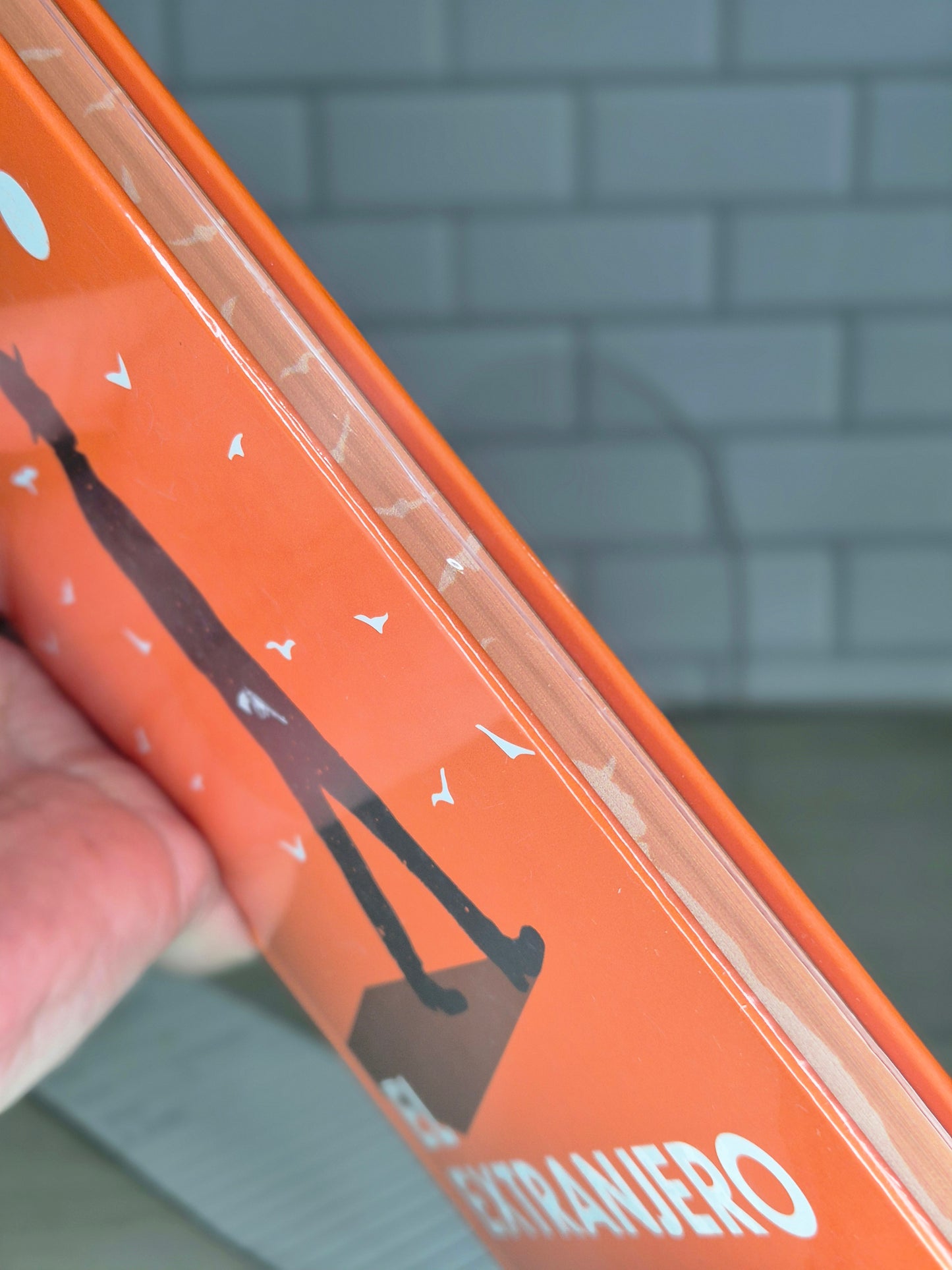 El extranjero edición en tapa dura con los cantos pintados