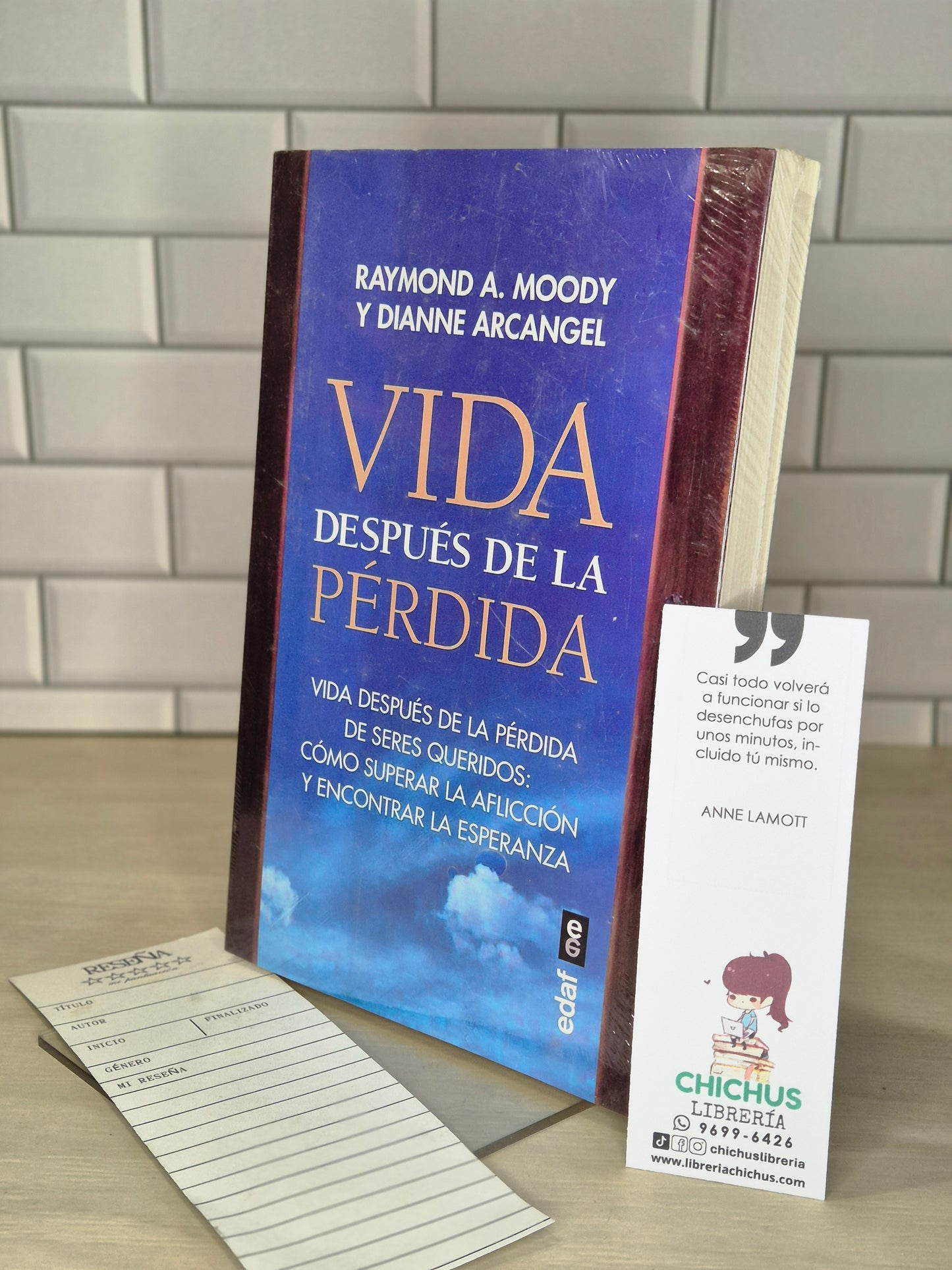 Vida después de la pérdida