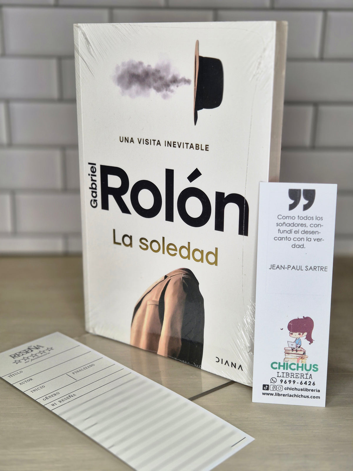 La soledad. Una visita inevitable - Gabriel Rolón
