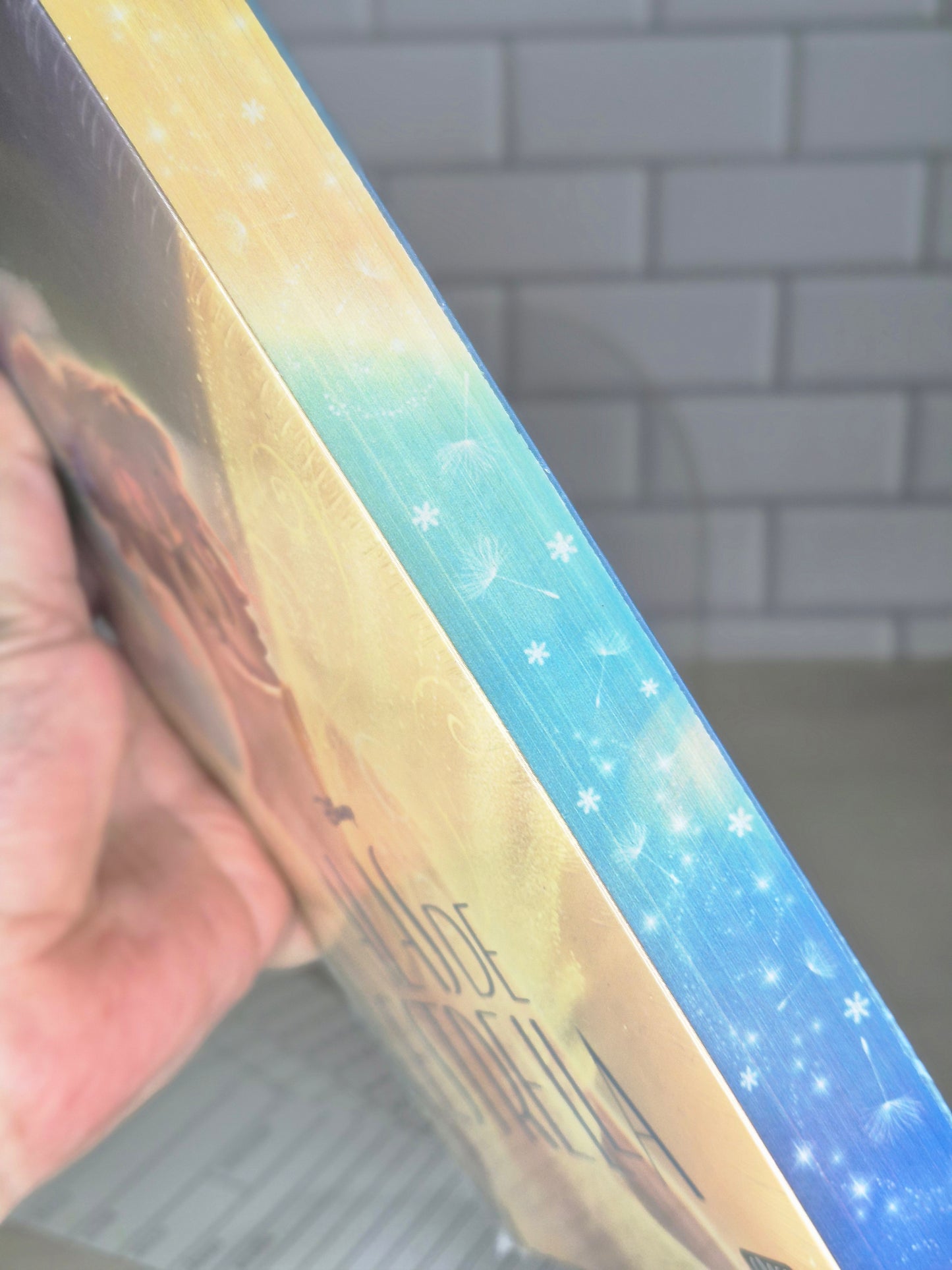 Alas de estrella edición con cantos pintados